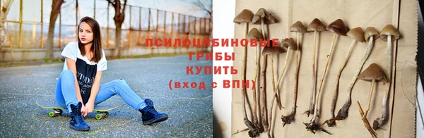 ALPHA-PVP Арсеньев