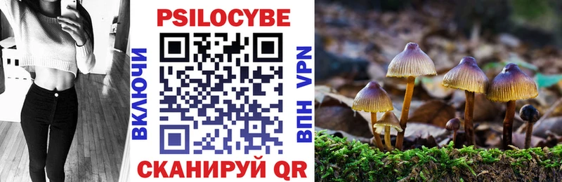 Купить  Никольское  Галлюциногенные грибы Magic Shrooms 